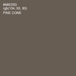 #685D53 - Pine Cone Color Image